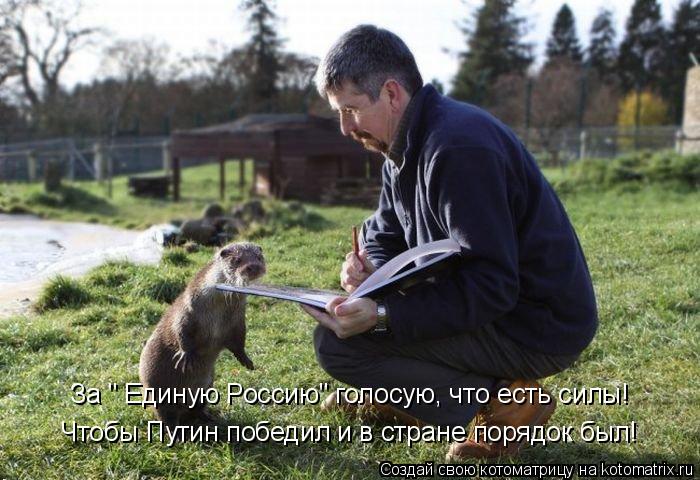 Котоматрица: За " Единую Россию" голосую, что есть силы! Чтобы Путин победил и в стране порядок был!