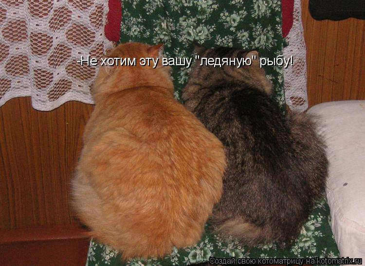 Котоматрица: -Не хотим эту вашу "ледяную" рыбу!