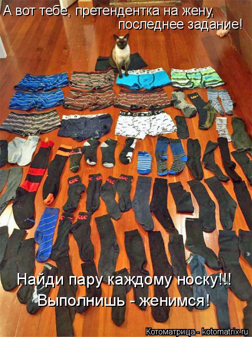 Котоматрица: А вот тебе, претендентка на жену,  последнее задание! Найди пару каждому носку!!! Выполнишь - женимся!