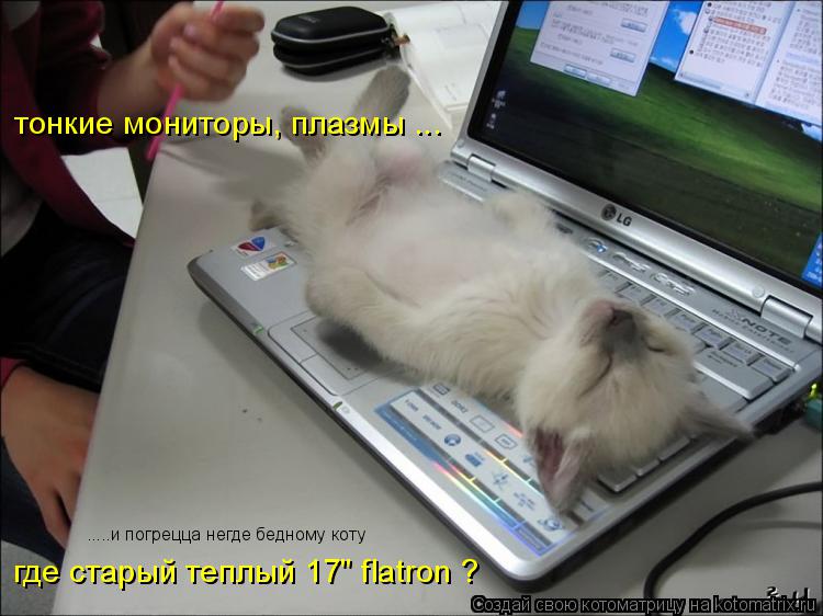 Котоматрица: тонкие мониторы, плазмы ... где старый теплый 17" flatron ? .....и погрецца негде бедному коту