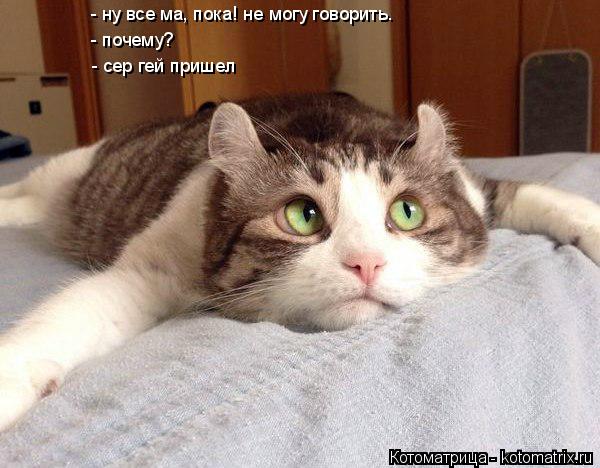 Котоматрица: - ну все ма, пока! не могу говорить. - почему? - сер гей пришел
