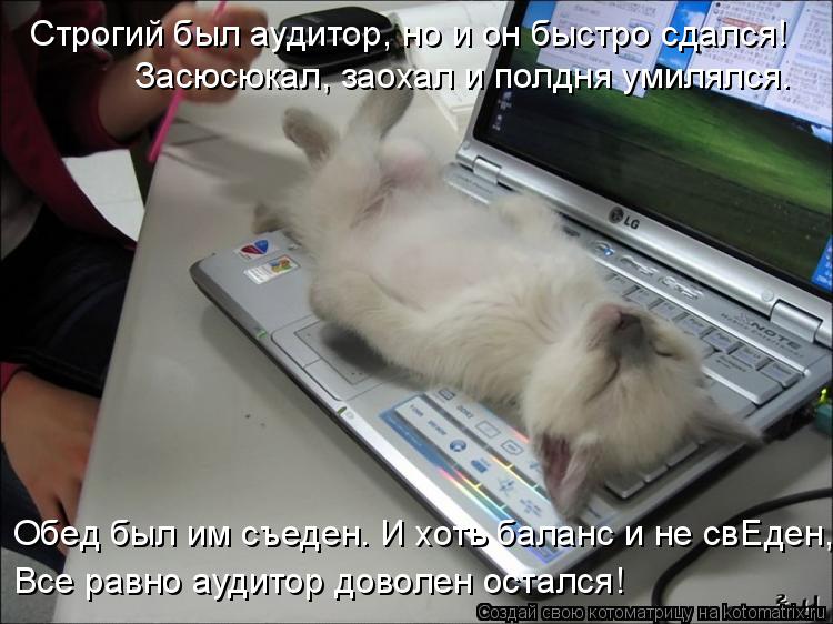 Котоматрица: Строгий был аудитор, но и он быстро сдался! Засюсюкал, заохал и полдня умилялся. Обед был им съеден. И хоть баланс и не свЕден, Все равно аудит