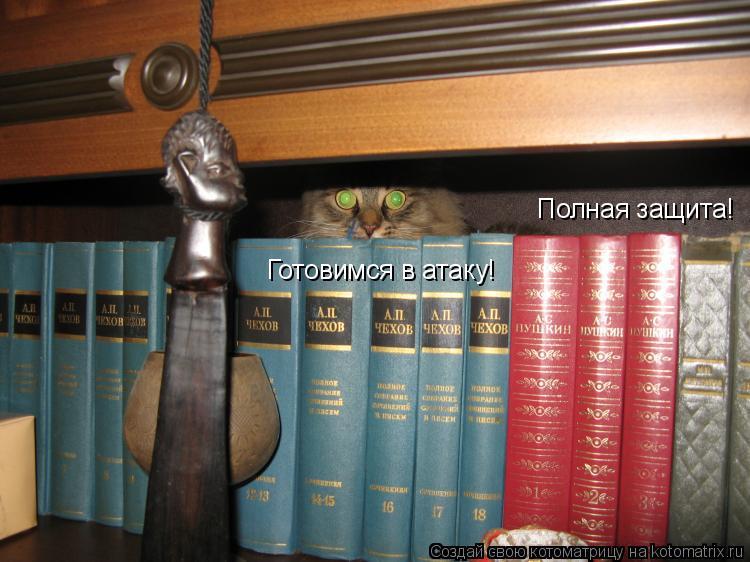 Котоматрица: Полная защита! Готовимся в атаку!