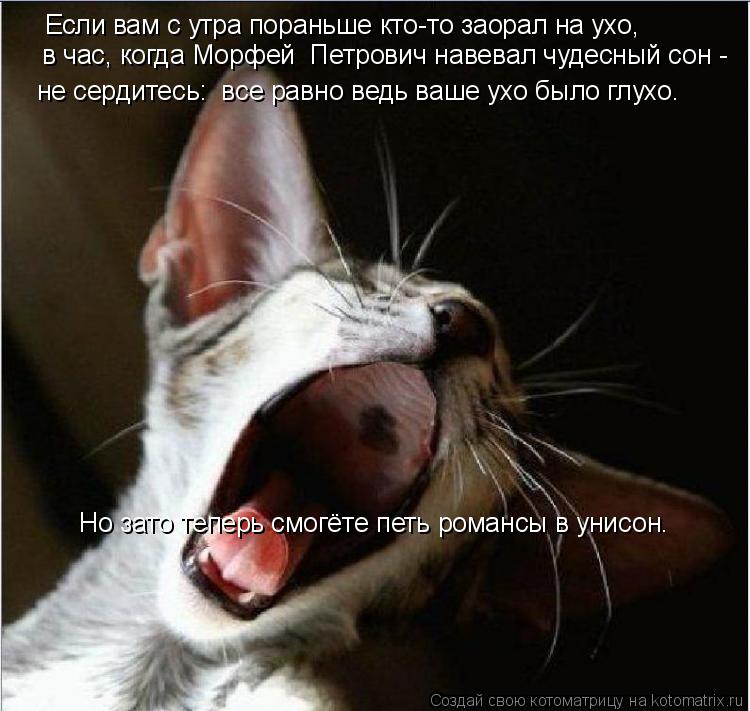 Котоматрица: Если вам с утра пораньше кто-то заорал на ухо, в час, когда Морфей  Петрович навевал чудесный сон - Но зато теперь смогёте петь романсы в унис
