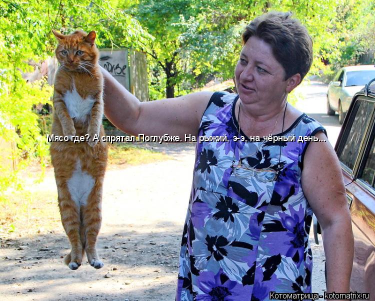 Котоматрица: Мясо где? А спрятал.Поглубже. На рыжий, э-э, на чёрный день...