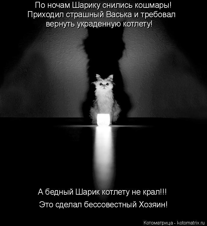 Котоматрица: По ночам Шарику снились кошмары! Приходил страшный Васька и требовал  вернуть украденную котлету! А бедный Шарик котлету не крал!!! Это сдел