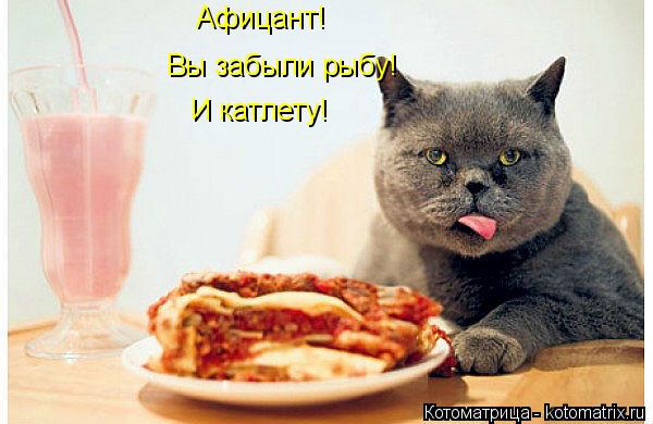 Котоматрица: Афицант! Вы забыли рыбу! И катлету!