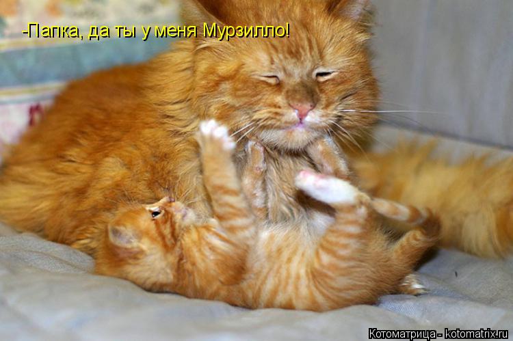 Котоматрица: -Папка, да ты у меня Мурзилло!