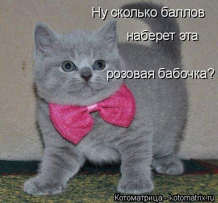 Котоматрица: Ну сколько баллов  наберет эта розовая бабочка?
