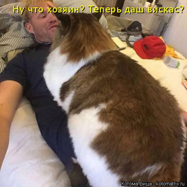 Котоматрица: Ну что хозяин? Теперь даш вискас?