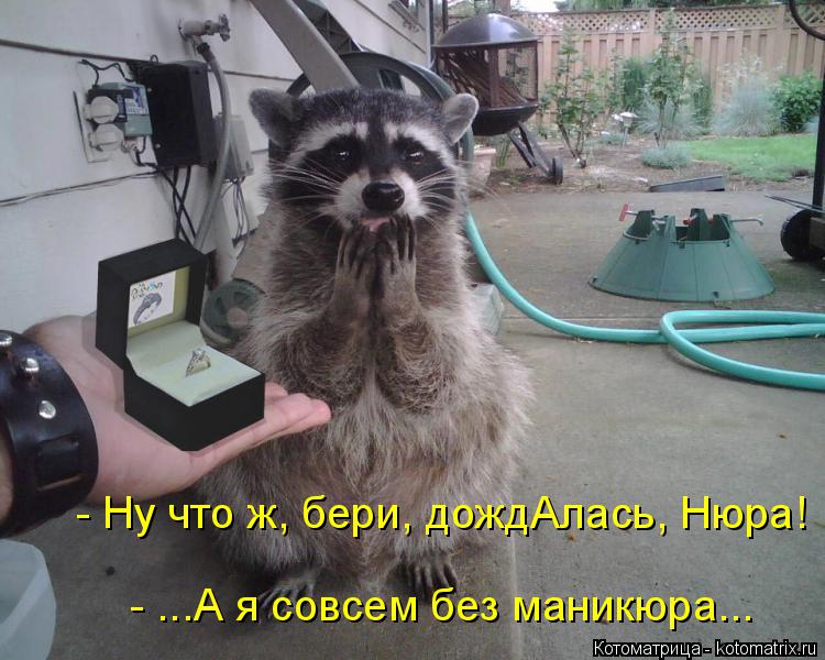 Котоматрица: - ...А я совсем без маникюра... - Ну что ж, бери, дождАлась, Нюра!