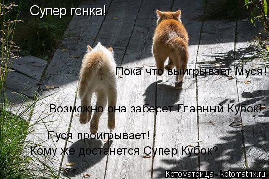 Котоматрица: Супер гонка! Пока что выигрывает Муся! Возможно она заберет Главный Кубок! Пуся проигрывает! Кому же достанется Супер Кубок?