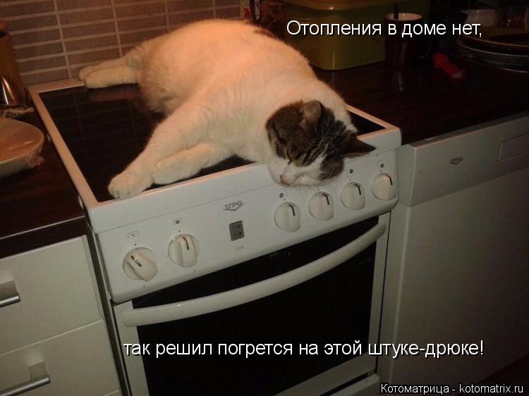 Отопления в доме нет, так решил погрется на этой штуке-дрюке!... Котоматрица: Отопления в доме нет, так решил погрется на этой штуке-дрюке!