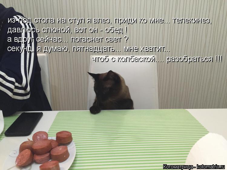 из-под стола на стул я влез, приди ко мне... телекинез, давлюсь слюной, вот он - обед ! а вдруг сейч... Котоматрица: из-под стола на стул я влез, приди ко мне... телекинез, давлюсь слюной, вот он - обед ! а вдруг сейчас... погаснет свет ? секунд, я думаю, пятнадца