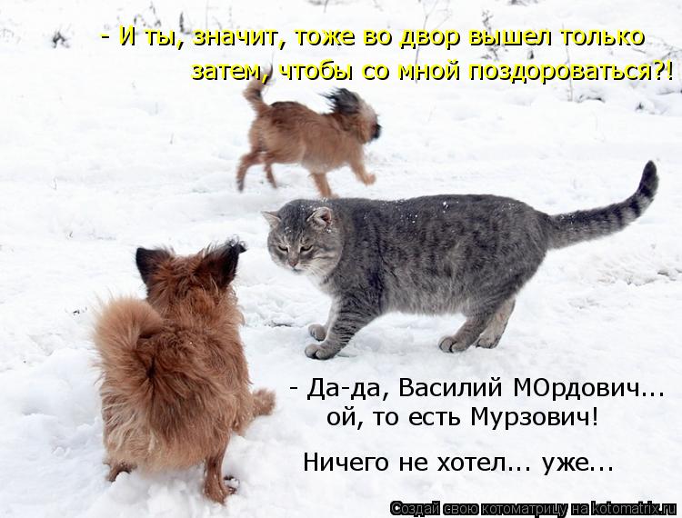 - И ты, значит, тоже во двор вышел только - Да-да, Василий МОрдович... ой, то есть Мурзович! Ничего ... Котоматрица: - И ты, значит, тоже во двор вышел только - Да-да, Василий МОрдович... ой, то есть Мурзович! Ничего не хотел... уже... затем, чтобы со мной поздоров