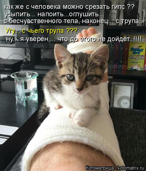 как же с человека можно срезать гипс ?? усыпить... напоить...оглушить... с бесчувственного тела, нак... Котоматрица: как же с человека можно срезать гипс ?? усыпить... напоить...оглушить... с бесчувственного тела, наконец... с трупа.. Угу... с чьего трупа ??? ну... я