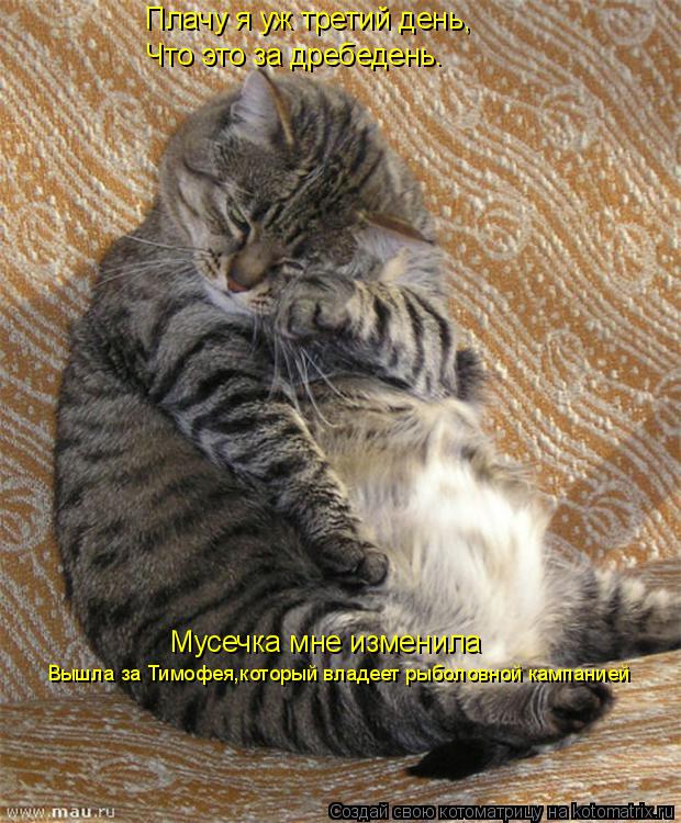 Плачу я уж третий день, Что это за дребедень. Мусечка мне изменила Вышла за Тимофея,который владеет р... Котоматрица: Плачу я уж третий день, Что это за дребедень. Мусечка мне изменила Вышла за Тимофея,который владеет рыболовной кампанией