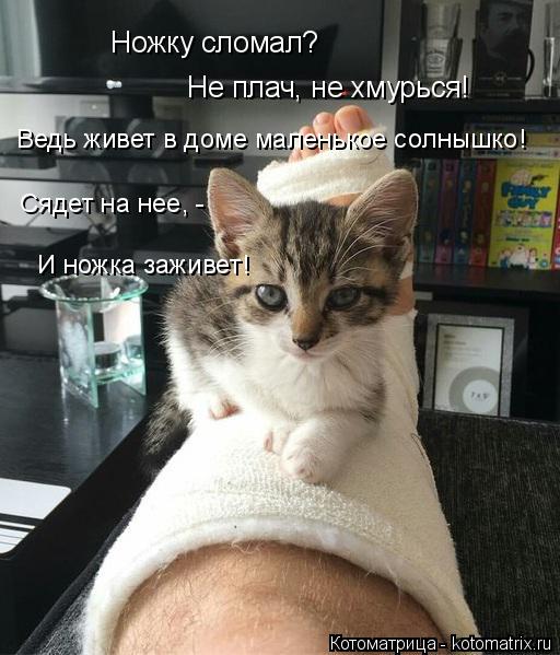 Ножку сломал? Не плач, не хмурься! Ведь живет в доме маленькое солнышко! Сядет на нее, - И ножка заж... Котоматрица: Ножку сломал? Не плач, не хмурься! Ведь живет в доме маленькое солнышко! Сядет на нее, - И ножка заживет!