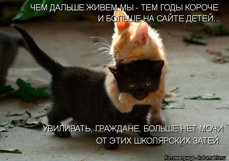 ЧЕМ ДАЛЬШЕ ЖИВЕМ МЫ - ТЕМ ГОДЫ КОРОЧЕ И БОЛЬШЕ НА САЙТЕ ДЕТЕЙ... УВИЛИВАТЬ, ГРАЖДАНЕ, БОЛЬШЕ НЕТ МО... Котоматрица: ЧЕМ ДАЛЬШЕ ЖИВЕМ МЫ - ТЕМ ГОДЫ КОРОЧЕ И БОЛЬШЕ НА САЙТЕ ДЕТЕЙ... УВИЛИВАТЬ, ГРАЖДАНЕ, БОЛЬШЕ НЕТ МОЧИ ОТ ЭТИХ ШКОЛЯРСКИХ ЗАТЕЙ...