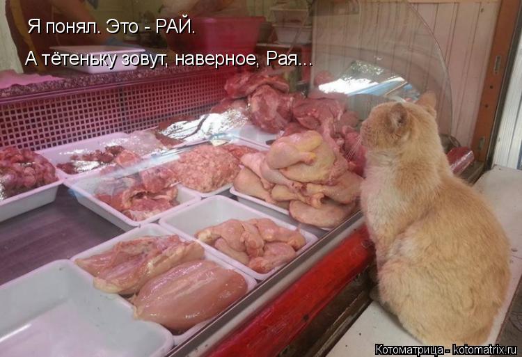 Я понял. Это - РАЙ. А тётеньку зовут, наверное, Рая...... Котоматрица: Я понял. Это - РАЙ. А тётеньку зовут, наверное, Рая...