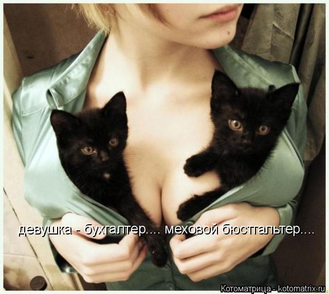 девушка - бухгалтер.... меховой бюстгальтер....... Котоматрица: девушка - бухгалтер.... меховой бюстгальтер....