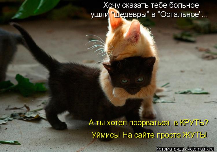 Хочу сказать тебе больное: ушли "шедевры" в "Остальное"... А ты хотел прорваться в КРУТЬ? Уймись! Н... Котоматрица: Хочу сказать тебе больное: ушли "шедевры" в "Остальное"... А ты хотел прорваться в КРУТЬ? Уймись! На сайте просто ЖУТЬ!
