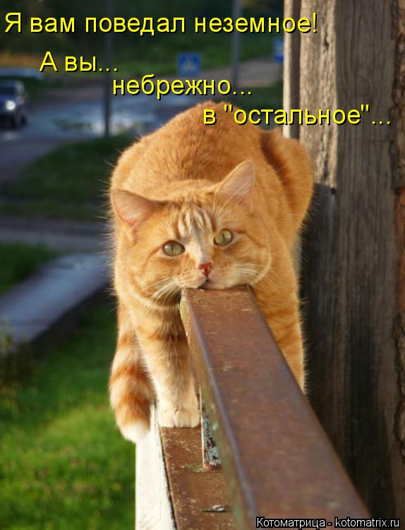Я вам поведал неземное! А вы... небрежно... в "остальное"...... Котоматрица: Я вам поведал неземное! А вы... небрежно... в "остальное"...