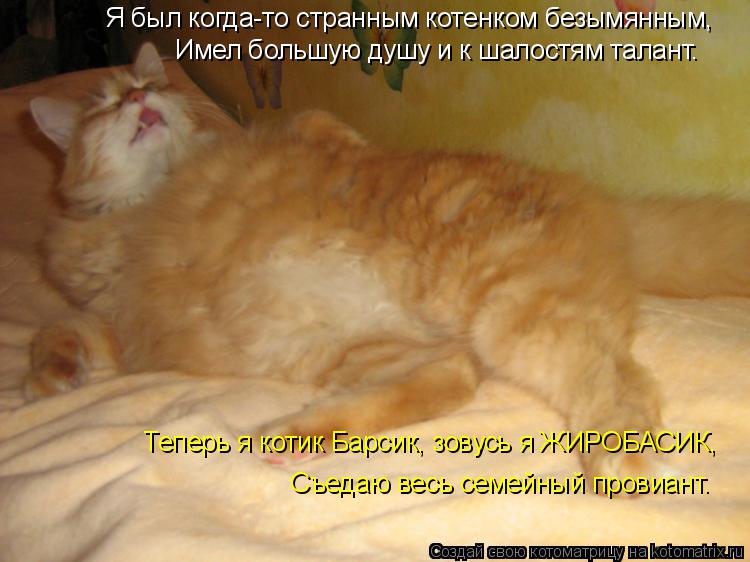 Я был когда-то странным котенком безымянным, Теперь я котик Барсик, зовусь я ЖИРОБАСИК, Съедаю весь... Котоматрица: Я был когда-то странным котенком безымянным, Теперь я котик Барсик, зовусь я ЖИРОБАСИК, Съедаю весь семейный провиант. Имел большую душу и