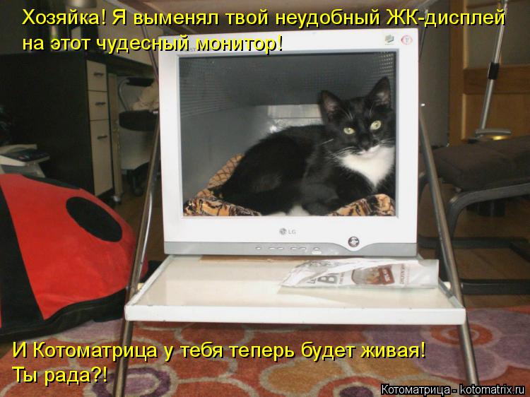 Хозяйка! Я выменял твой неудобный ЖК-дисплей на этот чудесный монитор! И Котоматрица у тебя теперь б... Котоматрица: Хозяйка! Я выменял твой неудобный ЖК-дисплей на этот чудесный монитор! И Котоматрица у тебя теперь будет живая! Ты рада?!