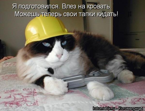 Я подготовился. Влез на кровать. Можешь теперь свои тапки кидать!... Котоматрица: Я подготовился. Влез на кровать. Можешь теперь свои тапки кидать!