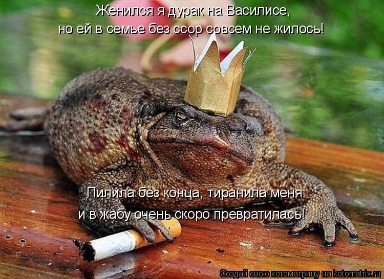 Женился я дурак на Василисе, но ей в семье без ссор совсем не жилось! Пилила без конца, тиранила меня... Котоматрица: Женился я дурак на Василисе, но ей в семье без ссор совсем не жилось! Пилила без конца, тиранила меня и в жабу очень скоро превратилась!