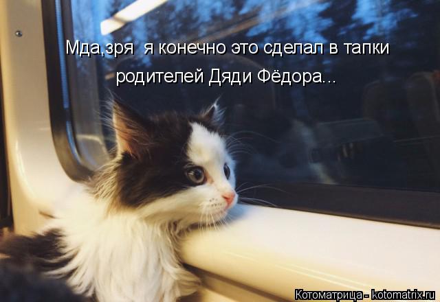 Мда,зря я конечно это сделал в тапки родителей Дяди Фёдора...... Котоматрица: Мда,зря я конечно это сделал в тапки родителей Дяди Фёдора...