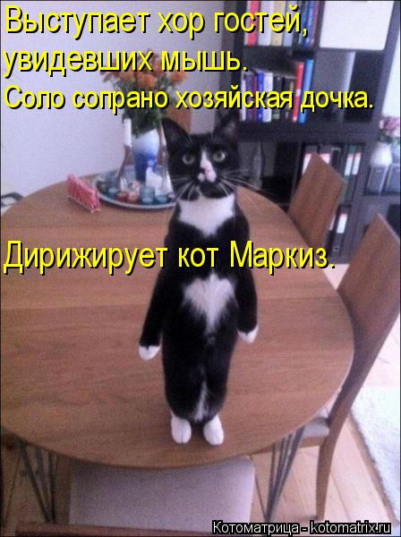 Выступает хор гостей, увидевших мышь. Соло сопрано хозяйская дочка. Дирижирует кот Маркиз.... Котоматрица: Выступает хор гостей, увидевших мышь. Соло сопрано хозяйская дочка. Дирижирует кот Маркиз.