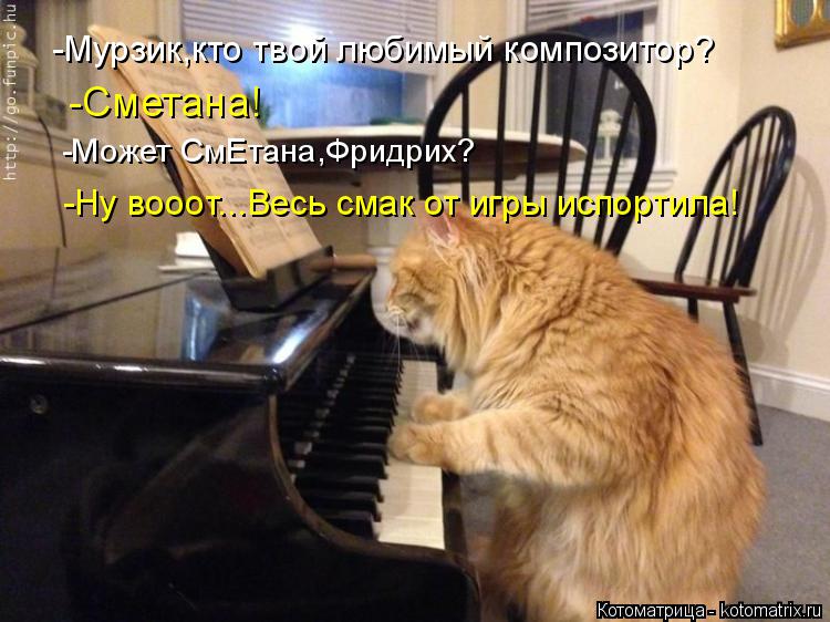 -Мурзик,кто твой любимый композитор? -Может СмЕтана,Фридрих? -Сметана! -Ну вооот...Весь смак от игры ... Котоматрица: -Мурзик,кто твой любимый композитор? -Может СмЕтана,Фридрих? -Сметана! -Ну вооот...Весь смак от игры испортила!