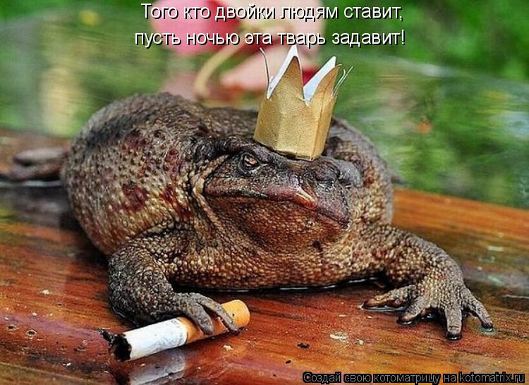 Того кто двойки людям ставит, пусть ночью эта тварь задавит!... Котоматрица: Того кто двойки людям ставит, пусть ночью эта тварь задавит!