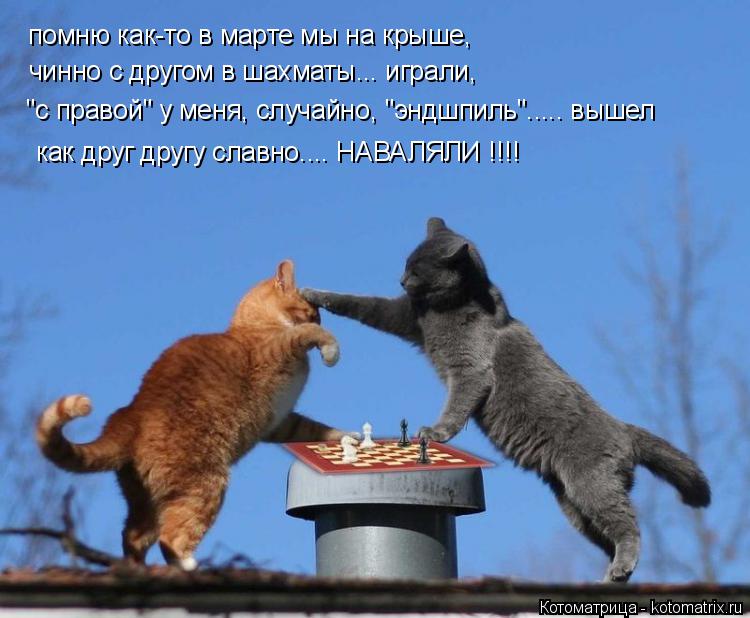 помню как-то в марте мы на крыше, чинно с другом в шахматы... играли, "с правой" у меня, случайно, "э... Котоматрица: помню как-то в марте мы на крыше, чинно с другом в шахматы... играли, "с правой" у меня, случайно, "эндшпиль"..... вышел как друг другу славно.... НАВ