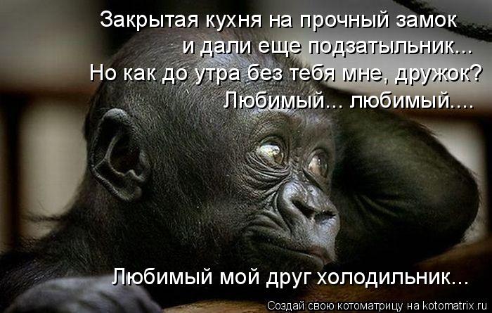 и дали еще подзатыльник... Но как до утра без тебя мне, дружок? Любимый... любимый.... Любимый мой др... Котоматрица: и дали еще подзатыльник... Но как до утра без тебя мне, дружок? Любимый... любимый.... Любимый мой друг холодильник... Закрытая кухня на прочный з