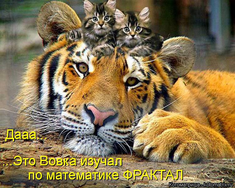 Дааа... ...Это Вовка изучал по математике ФРАКТАЛ... Котоматрица: Дааа... ...Это Вовка изучал по математике ФРАКТАЛ