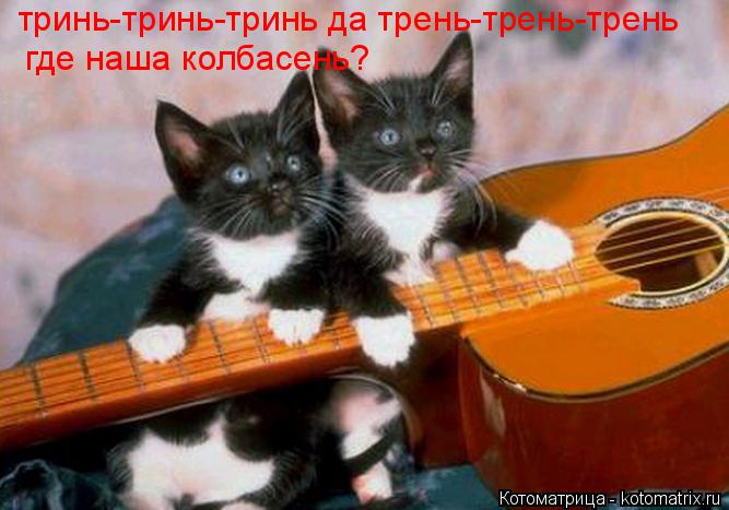 тринь-тринь-тринь да трень-трень-трень где наша колбасень?... Котоматрица: тринь-тринь-тринь да трень-трень-трень где наша колбасень?