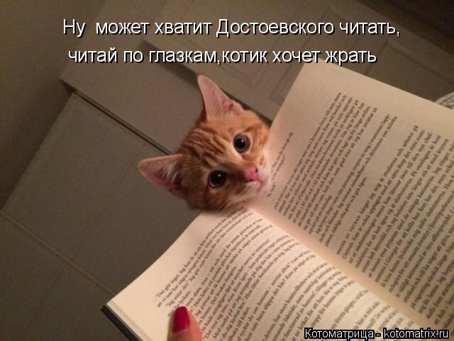 Котоматрица: Ну  может хватит Достоевского читать, читай по глазкам,котик хочет жрать