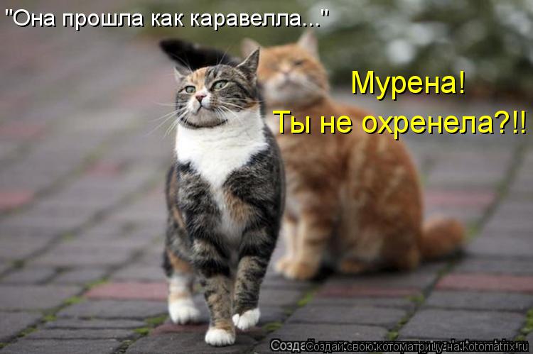 "Она прошла как каравелла..." Мурена! Ты не охренела?!!... Котоматрица: "Она прошла как каравелла..." Мурена! Ты не охренела?!!