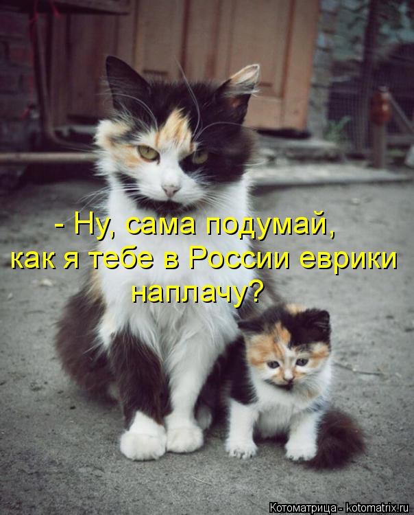 - Ну, сама подумай, как я тебе в России еврики наплачу?... Котоматрица: - Ну, сама подумай, как я тебе в России еврики наплачу?