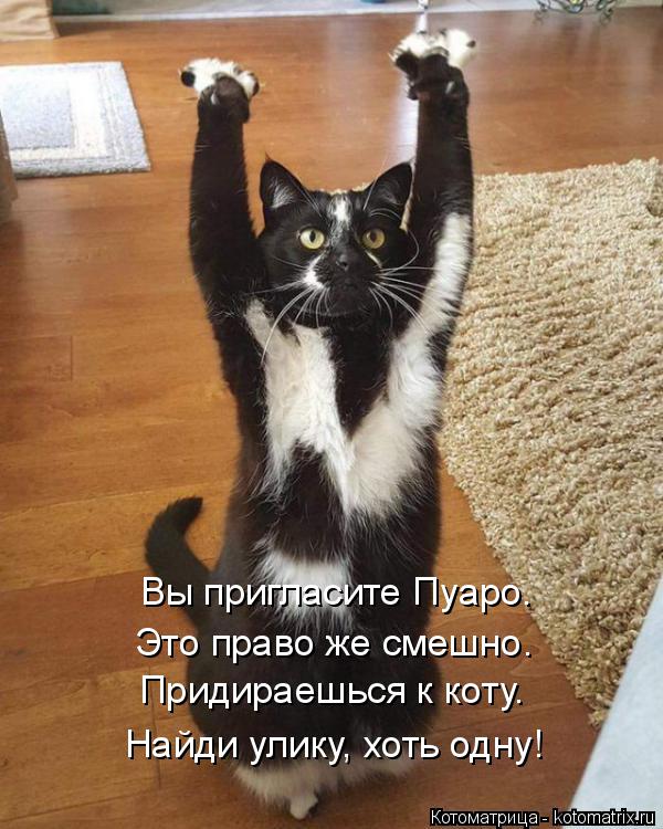 Вы пригласите Пуаро. Это право же смешно. Придираешься к коту. Найди улику, хоть одну!... Котоматрица: Вы пригласите Пуаро. Это право же смешно. Придираешься к коту. Найди улику, хоть одну!