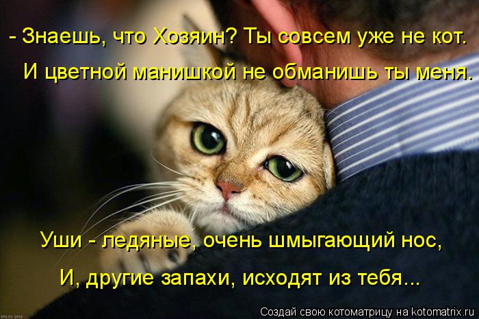 - Знаешь, что Хозяин? Ты совсем уже не кот. И цветной манишкой не обманишь ты меня. Уши - ледяные, оч... Котоматрица: - Знаешь, что Хозяин? Ты совсем уже не кот. И цветной манишкой не обманишь ты меня. Уши - ледяные, очень шмыгающий нос, И, другие запахи, исходят