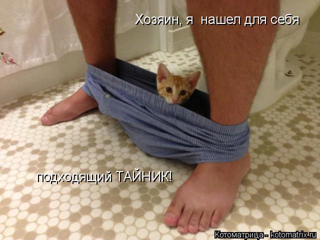 Хозяин, я нашел для себя подходящий ТАЙНИК!... Котоматрица: Хозяин, я нашел для себя подходящий ТАЙНИК!