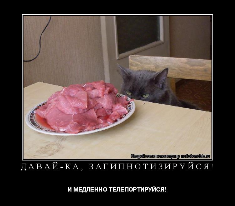 ДАВАЙ-КА, ЗАГИПНОТИЗИРУЙСЯ! И МЕДЛЕННО ТЕЛЕПОРТИРУЙСЯ!... Котоматрица: ДАВАЙ-КА, ЗАГИПНОТИЗИРУЙСЯ! И МЕДЛЕННО ТЕЛЕПОРТИРУЙСЯ!