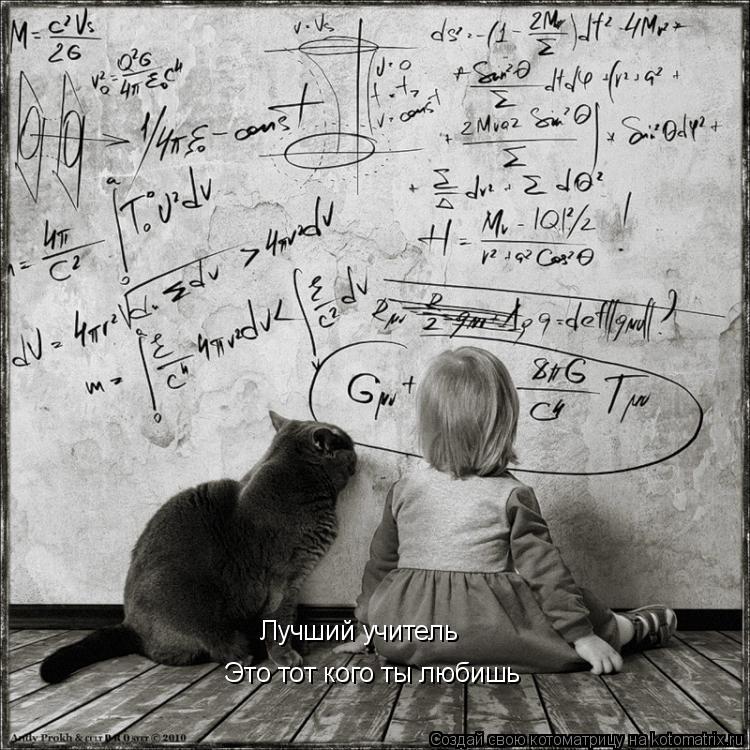 Лучший учитель Это тот кого ты любишь... Котоматрица: Лучший учитель Это тот кого ты любишь