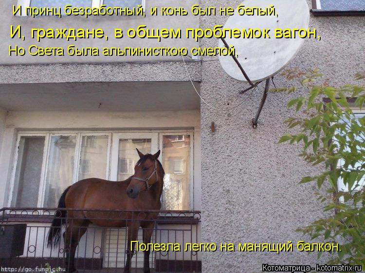 И, граждане, в общем проблемок вагон, И принц безработный, и конь был не белый, Но Света была альпини... Котоматрица: И, граждане, в общем проблемок вагон, И принц безработный, и конь был не белый, Но Света была альпинисткою смелой, Полезла легко на манящий б
