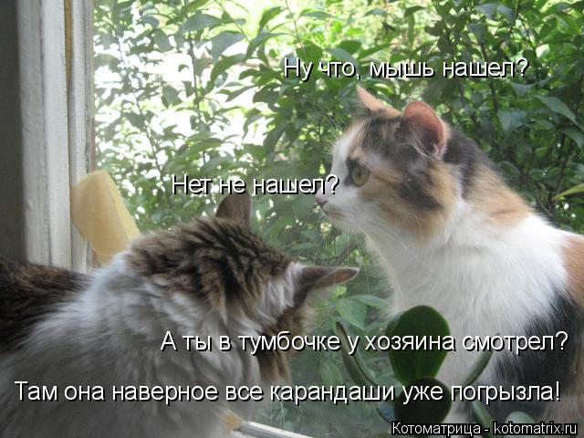 Ну что, мышь нашел? Нет не нашел? А ты в тумбочке у хозяина смотрел? Там она наверное все карандаши у... Котоматрица: Ну что, мышь нашел? Нет не нашел? А ты в тумбочке у хозяина смотрел? Там она наверное все карандаши уже погрызла!