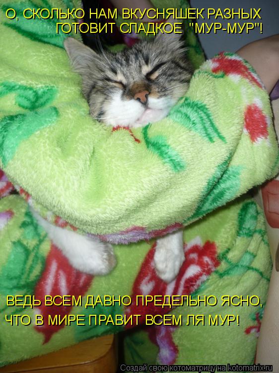 ВЕДЬ ВСЕМ ДАВНО ПРЕДЕЛЬНО ЯСНО, ЧТО В МИРЕ ПРАВИТ ВСЕМ ЛЯ МУР! О, СКОЛЬКО НАМ ВКУСНЯШЕК РАЗНЫХ ГОТОВ... Котоматрица: ВЕДЬ ВСЕМ ДАВНО ПРЕДЕЛЬНО ЯСНО, ЧТО В МИРЕ ПРАВИТ ВСЕМ ЛЯ МУР! О, СКОЛЬКО НАМ ВКУСНЯШЕК РАЗНЫХ ГОТОВИТ СЛАДКОЕ "МУР-МУР"!